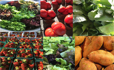 Visiting Local Farmers Markets