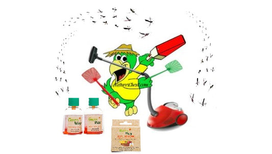 Attack of the Fruit Flies