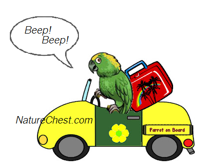 Vacationing and Traveling with your Bird
