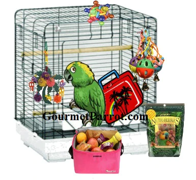 Vacationing Without Your Bird
