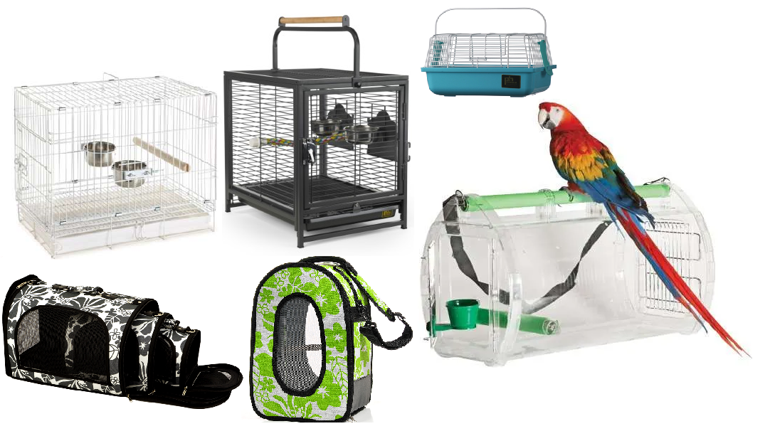 Bird Airline Travel Carrier for birds and parrots