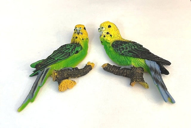 Green Budgies Magnet