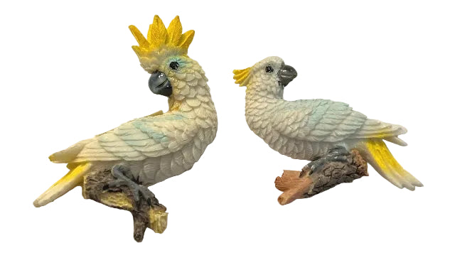 Sulfur Crested Cockatoo Parrot Magnets