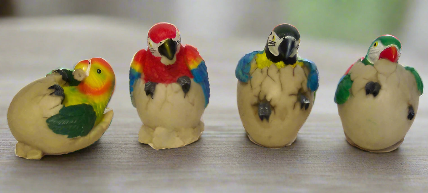Mini Parrot Hatchlings