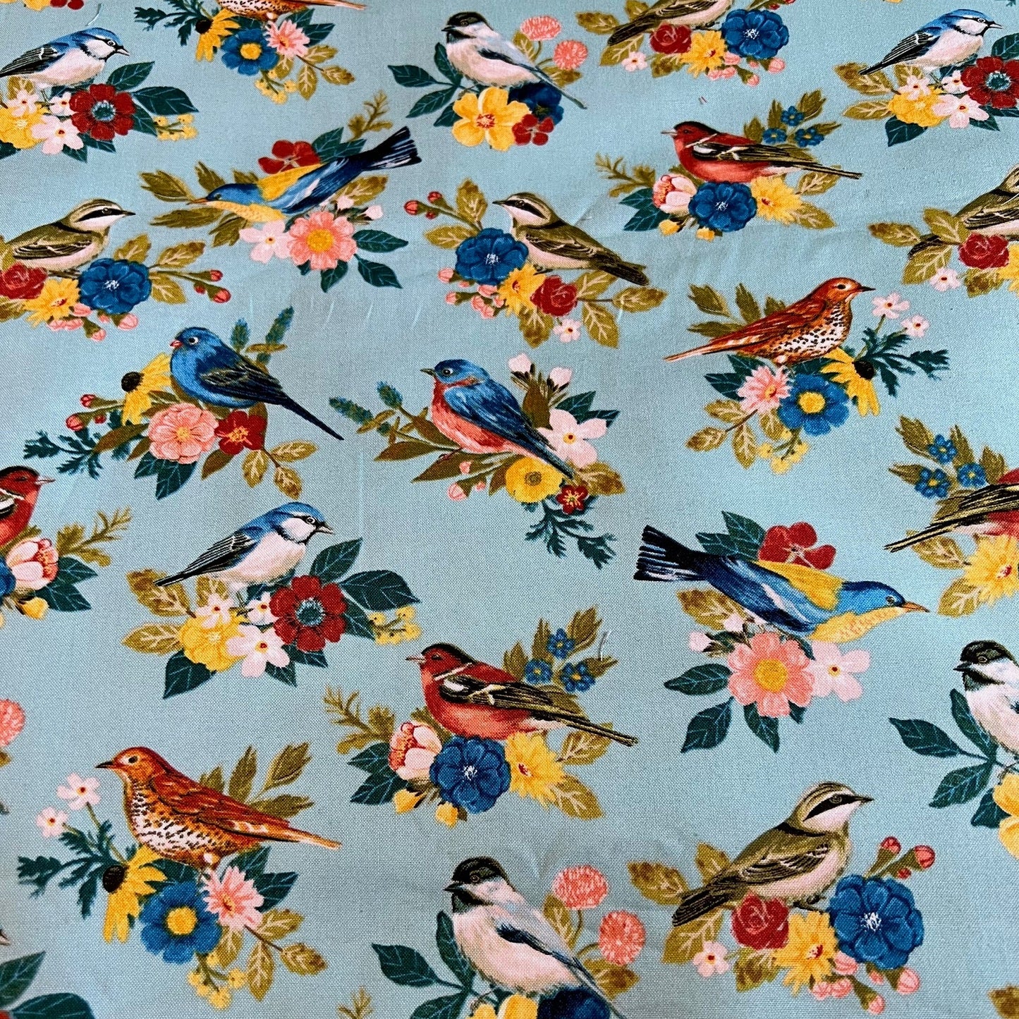 1X Large Bird Cage Skirts