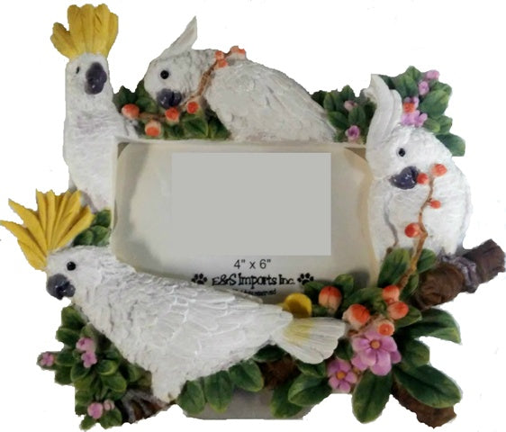 Cockatoo Frame