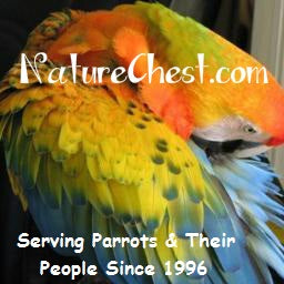 Bird People Share: What do you wish you knew before getting a parrot?” –  Pet Birds by Lafeber Co.