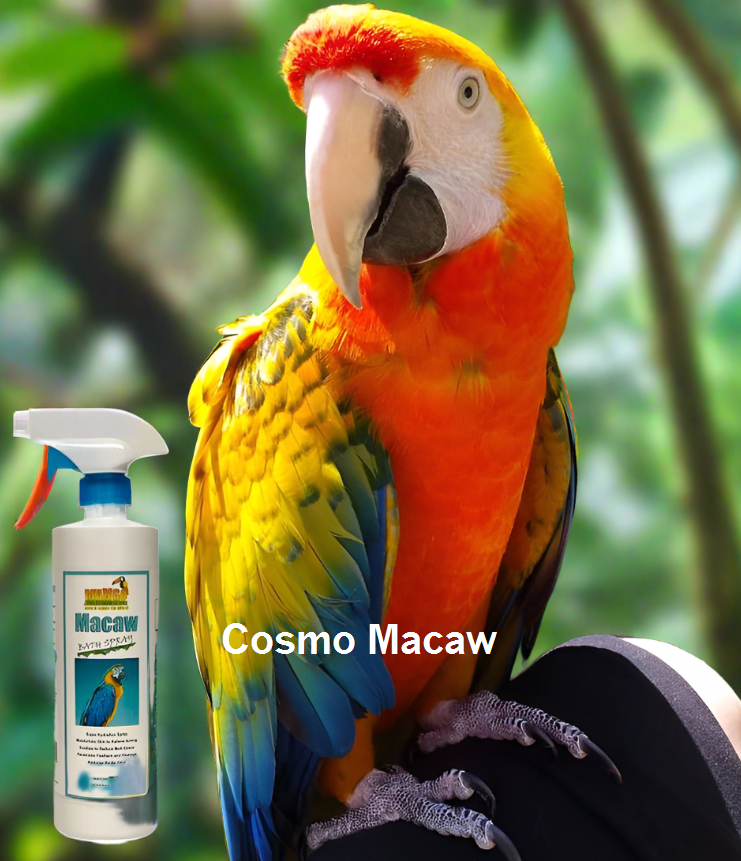 Mango Macaw Bath Spray