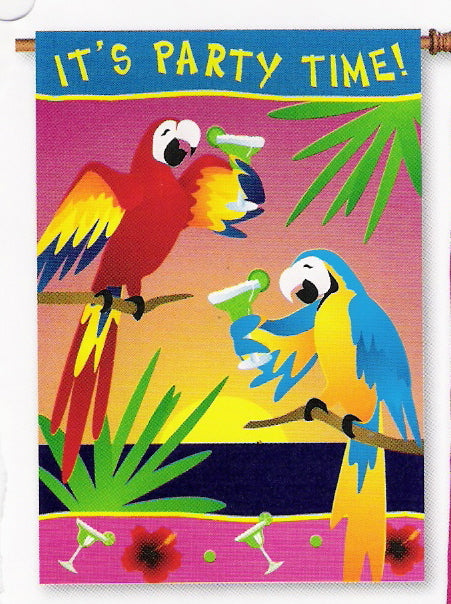 Party Time Flag