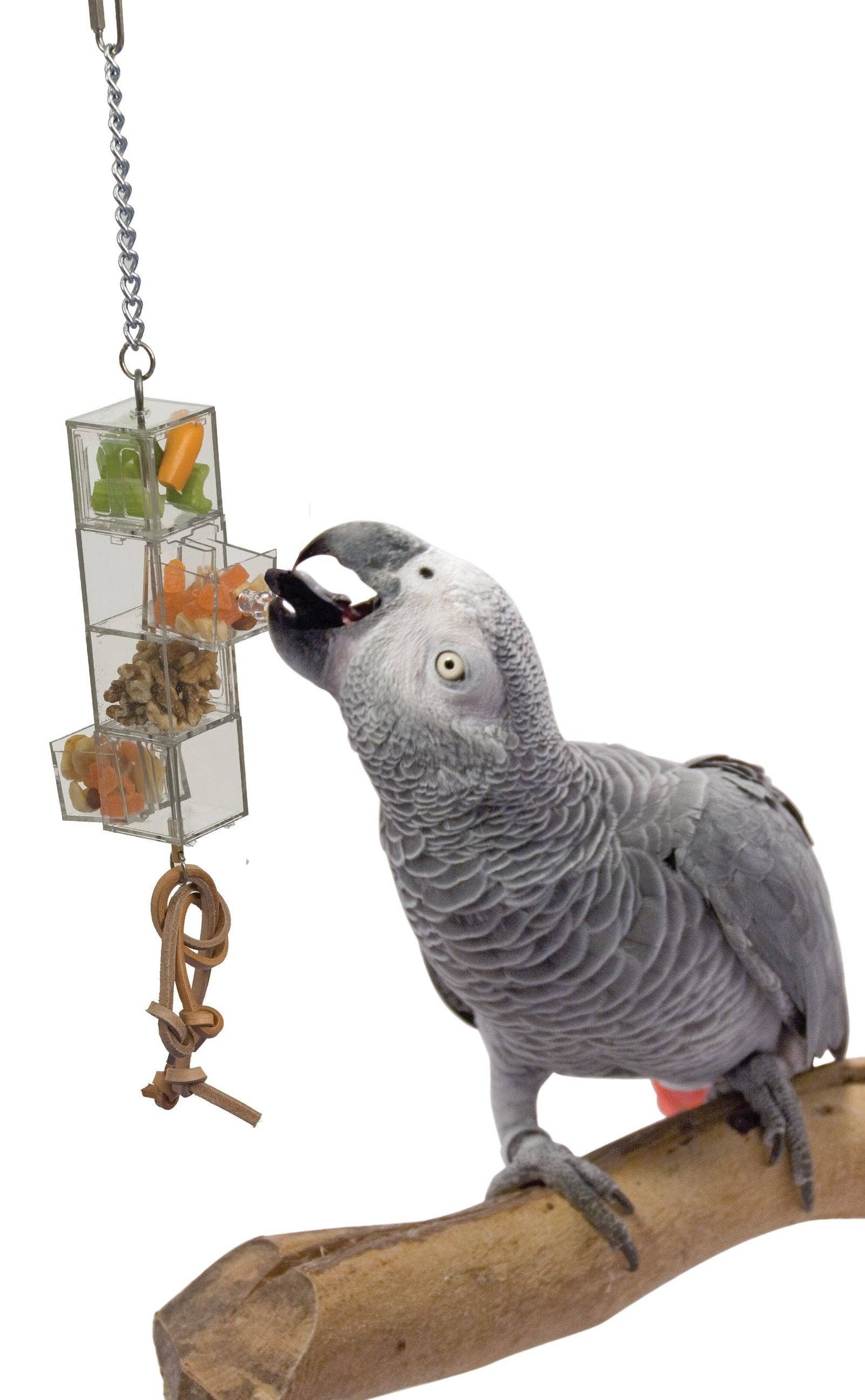 Two Sliding Doors Foraging