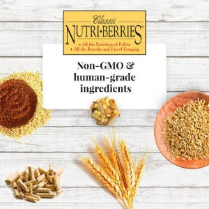 Lafeber Classic Nutri-berries