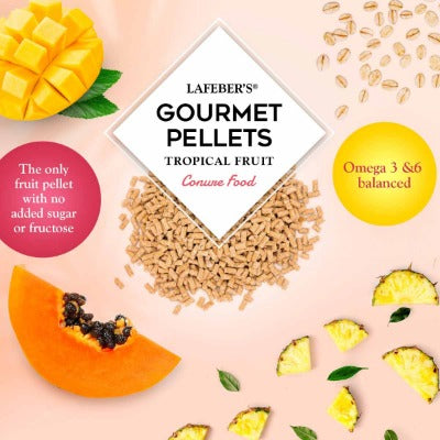 Lafeber Tropical Fruit Gourmet Pellets