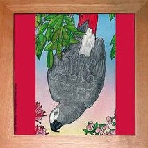 African Grey Parrot Trivet