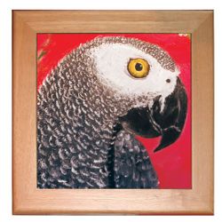 African Grey Trivet