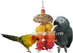 Multi Crunch Bird Toy