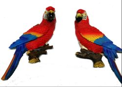 Scarlet Macaws Magnet