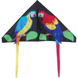 Parrot Kite