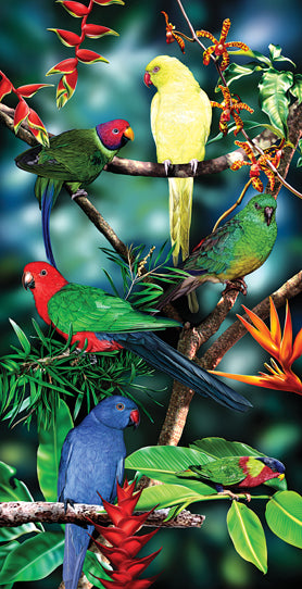 Ringnecks Beach Towels