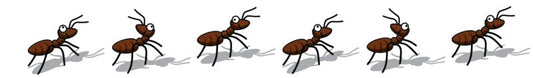 Safe Ant Control with Birds