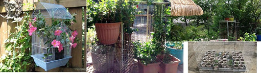 Recycling Bird Cages in the Garden