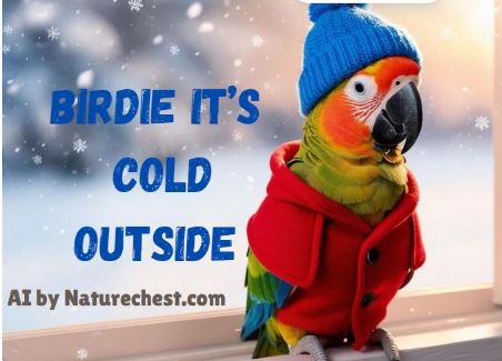 Winterizing Your Bird Area