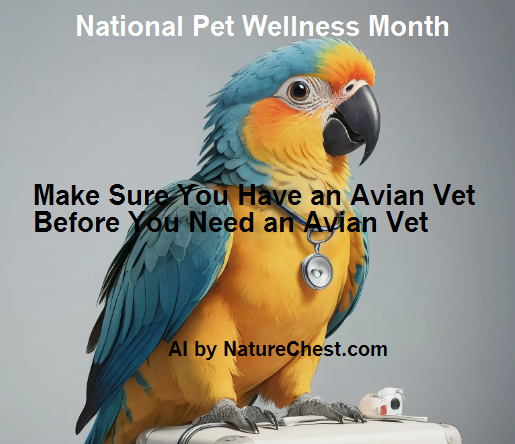 National Pet Wellness Month