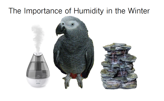 How important is humidity in winter?