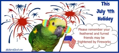 Fireworks and your Feathered Friend