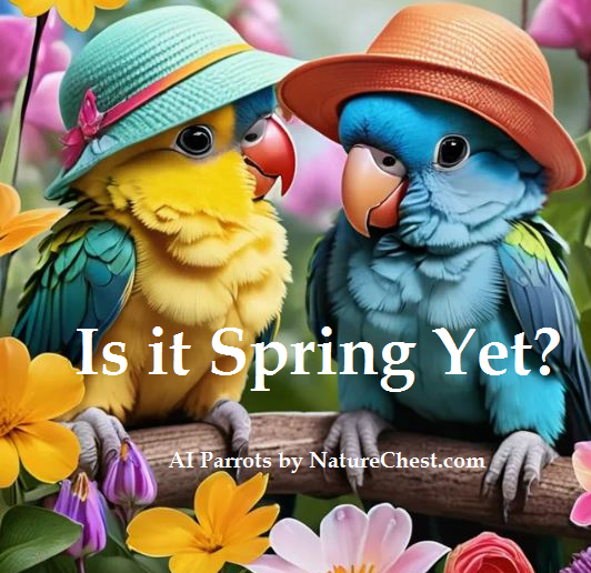 Spring Time in Parrot World