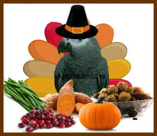 A Thanksgiving Feast for Your Bird
