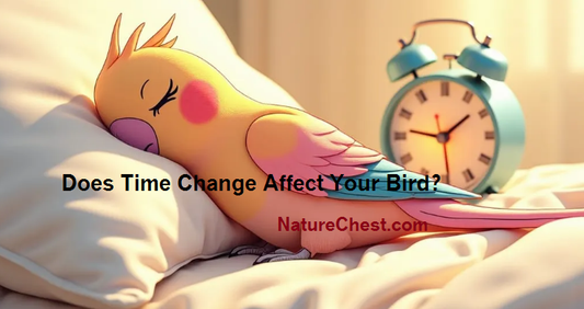 Time Changes Can Affect your Bird