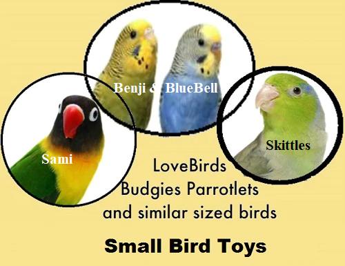 Small Bird Toys