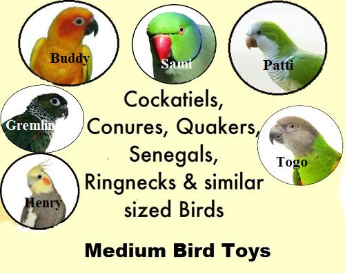 Medium Bird Toys