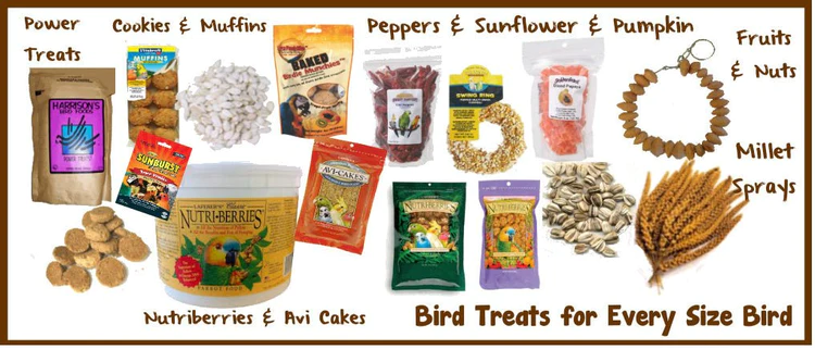Bird Treats