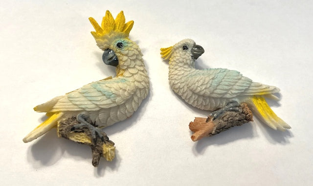 Sulfur Crested Cockatoo Parrot Magnets