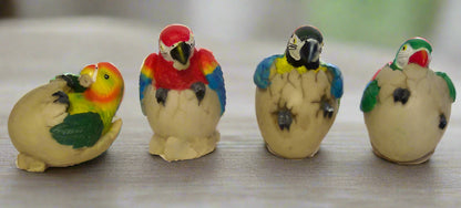 Mini Parrot Hatchlings