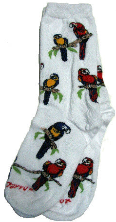 Macaw Parrot Socks