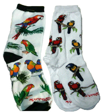 Parrot Socks - Set of 2 Styles