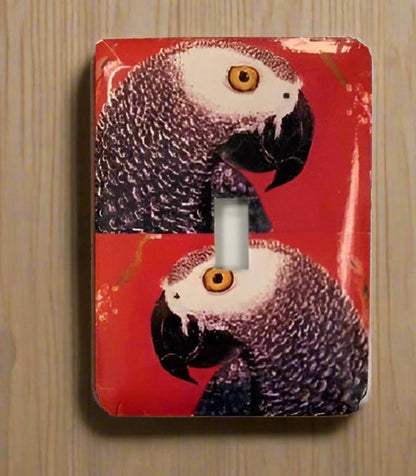 African Grey Parrot Single Light Switch Cover