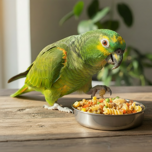 Crazy Good Cooking Pastamore Bird Food