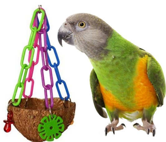 Coco Treat Cup