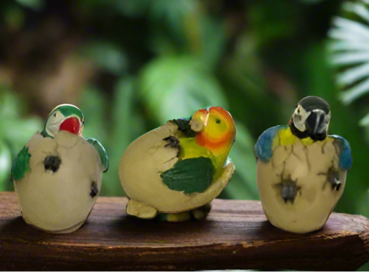 Parrot Hatchlings