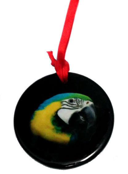 Blue and Gold Macaw Ornament