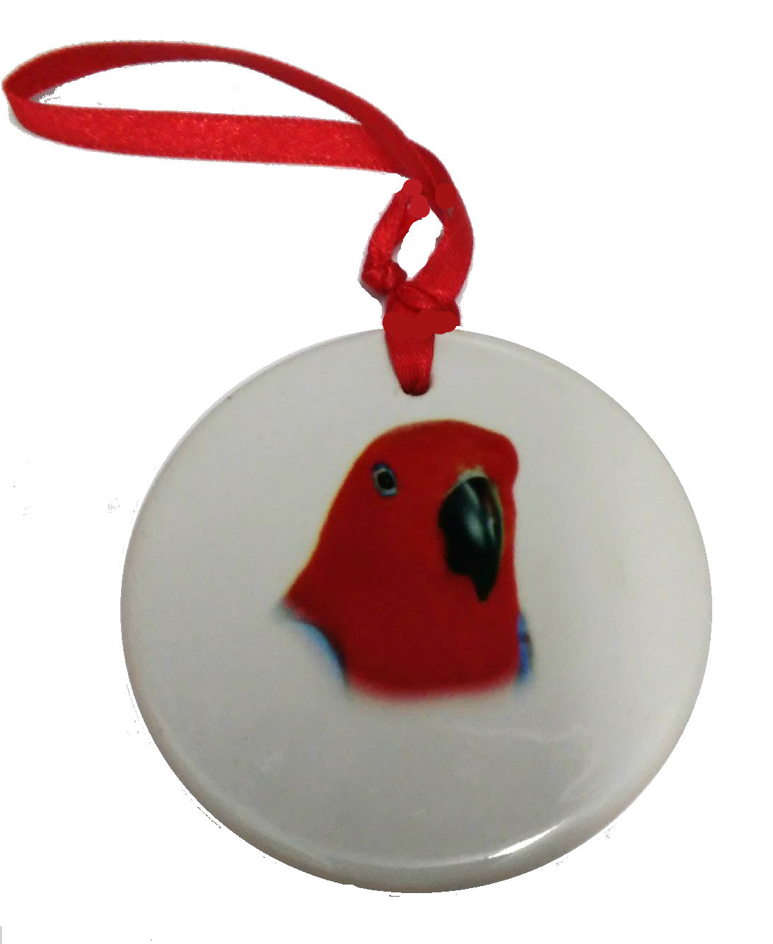 Female Eclectus Ornament