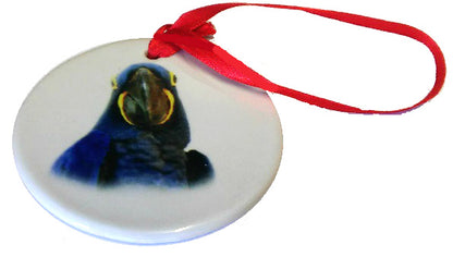 Hyacinth Macaw Porcelain Ornament