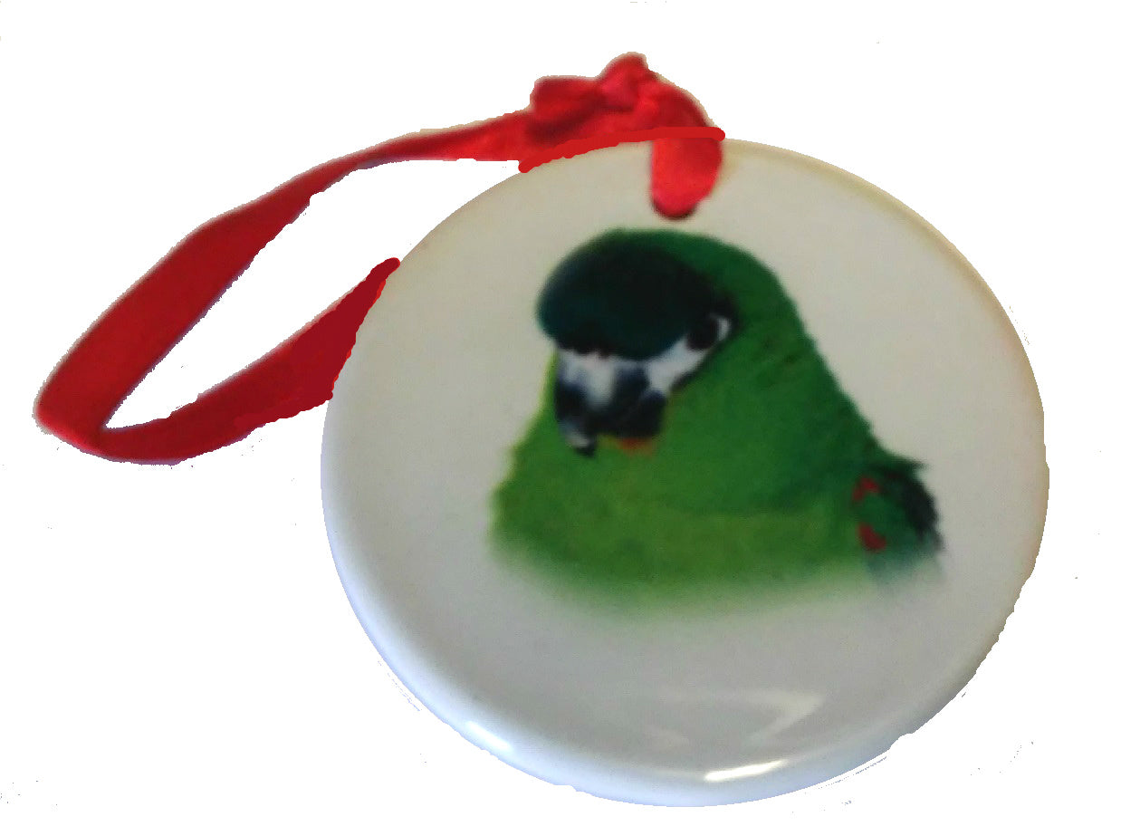 Porcelain Mini Macaw Ornament