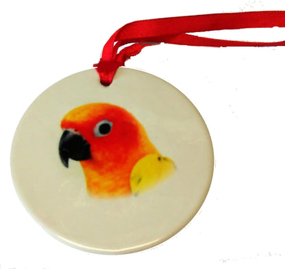 Porcelain Sun Conure on White