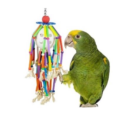Squiggy Bird Toy