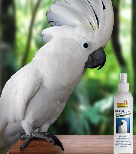 Mango Cockatoo Bath Spray