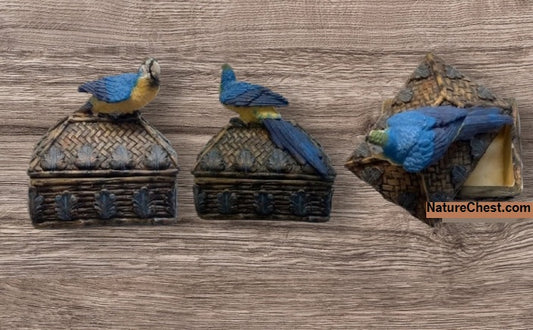Blue and Gold Macaw Trinket Box